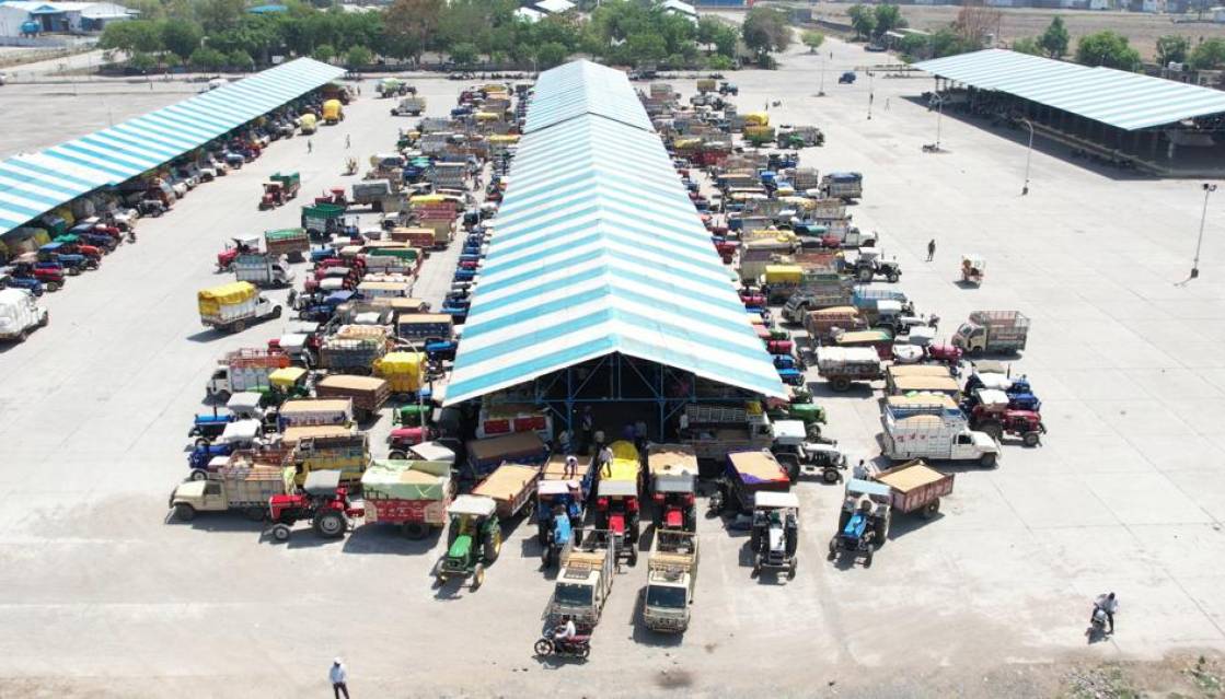  मंडी यार्ड में नीलामी व्यवस्था