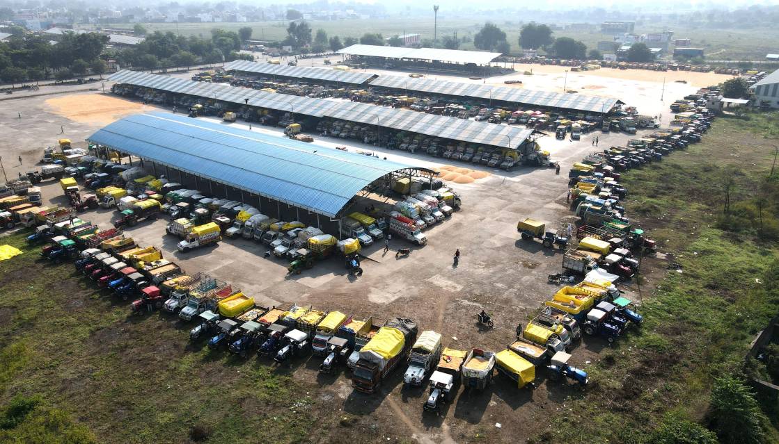  मंडी यार्ड में नीलामी व्यवस्था